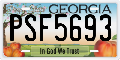 GA license plate PSF5693