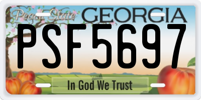 GA license plate PSF5697