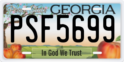 GA license plate PSF5699