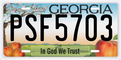 GA license plate PSF5703