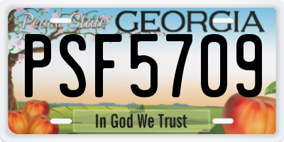 GA license plate PSF5709