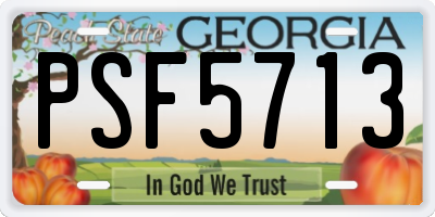 GA license plate PSF5713