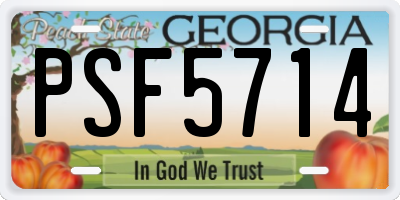 GA license plate PSF5714