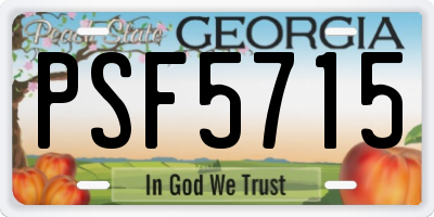 GA license plate PSF5715