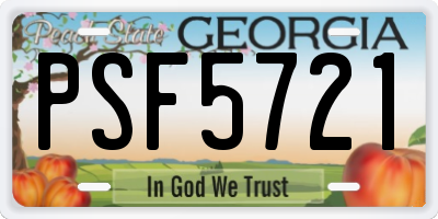 GA license plate PSF5721