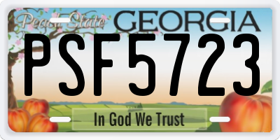 GA license plate PSF5723