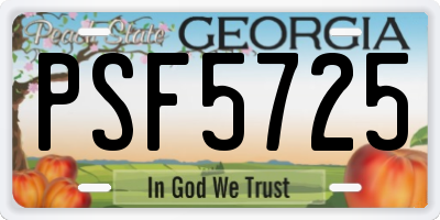GA license plate PSF5725