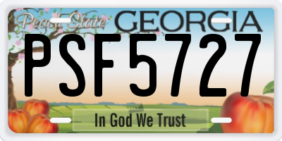 GA license plate PSF5727