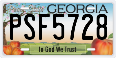 GA license plate PSF5728