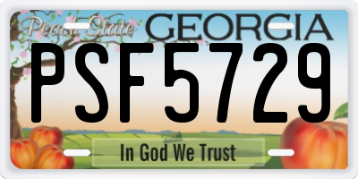 GA license plate PSF5729