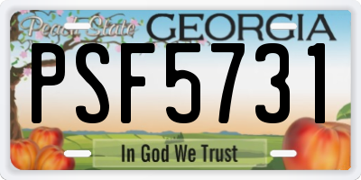 GA license plate PSF5731