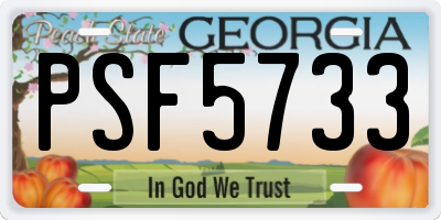 GA license plate PSF5733