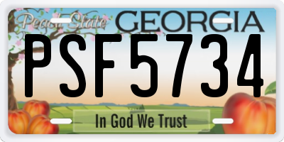GA license plate PSF5734