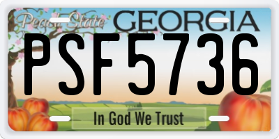 GA license plate PSF5736
