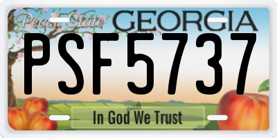 GA license plate PSF5737
