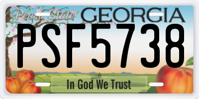 GA license plate PSF5738