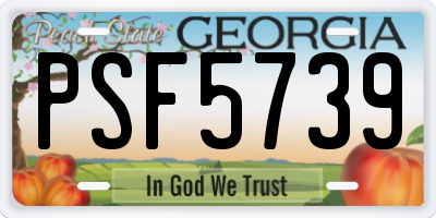 GA license plate PSF5739
