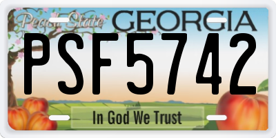 GA license plate PSF5742