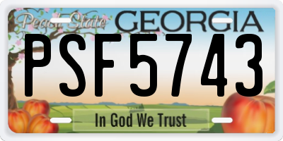 GA license plate PSF5743
