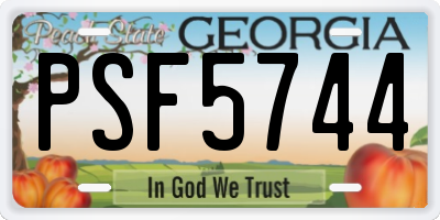 GA license plate PSF5744