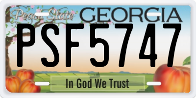 GA license plate PSF5747