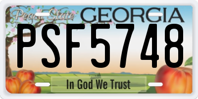 GA license plate PSF5748