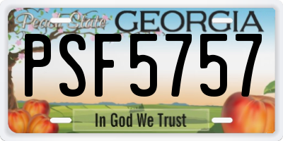 GA license plate PSF5757