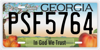 GA license plate PSF5764