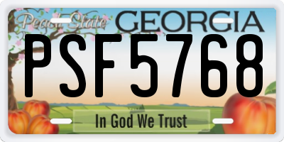 GA license plate PSF5768