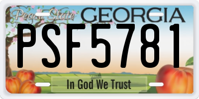 GA license plate PSF5781