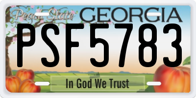GA license plate PSF5783