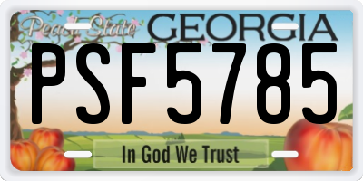GA license plate PSF5785