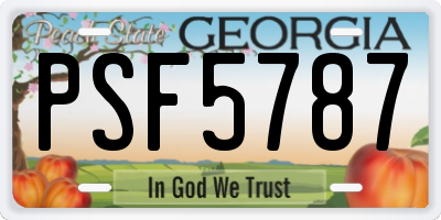 GA license plate PSF5787