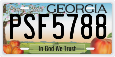 GA license plate PSF5788
