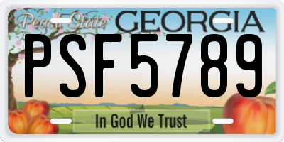 GA license plate PSF5789