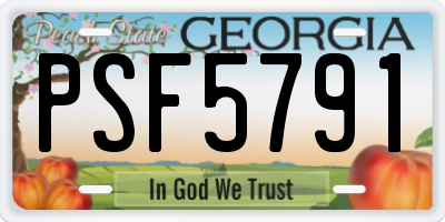GA license plate PSF5791