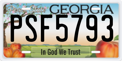 GA license plate PSF5793