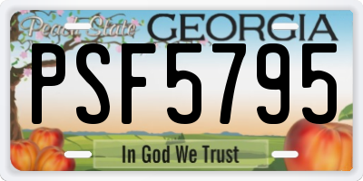 GA license plate PSF5795