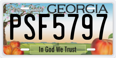 GA license plate PSF5797