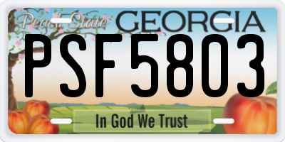 GA license plate PSF5803