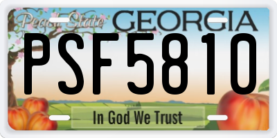 GA license plate PSF5810