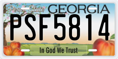 GA license plate PSF5814