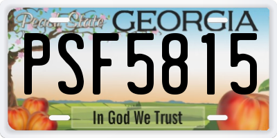 GA license plate PSF5815