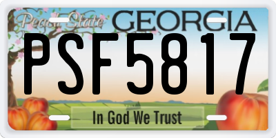 GA license plate PSF5817