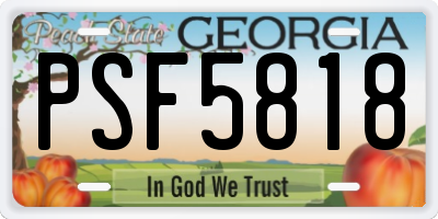GA license plate PSF5818