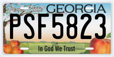 GA license plate PSF5823