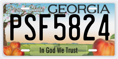 GA license plate PSF5824