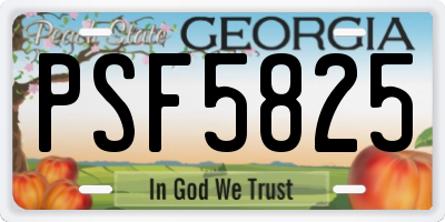 GA license plate PSF5825