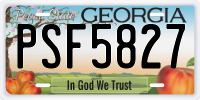 GA license plate PSF5827