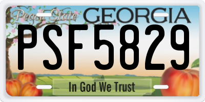 GA license plate PSF5829
